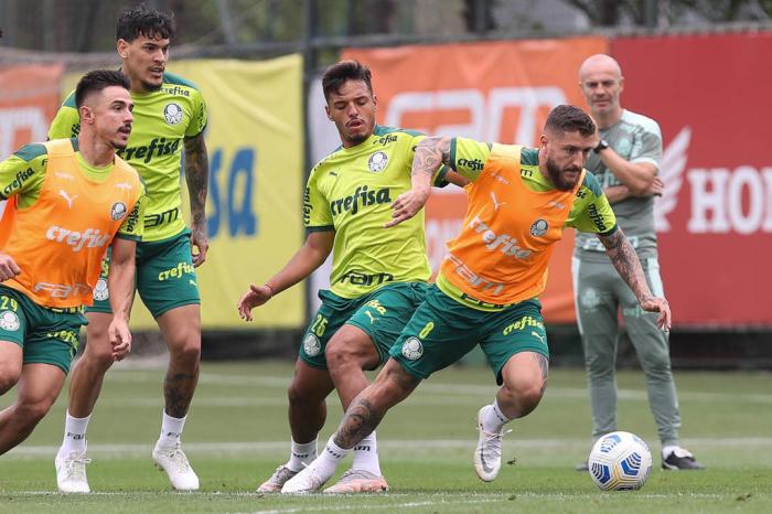 Cesar Greco / Palmeiras divulgação