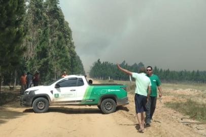 O Corpo de Bombeiros combate neste sábado (13) um incêndio florestal de grandes proporções em Mostardas, no Litoral. O fogo teria iniciado em uma mata de eucaliptos e atingiu, na sequência, uma área com pinos resinados. A preocupação é que as chamas estão muito próximas da RS-101, principal rodovia da região, o que pode ameaçar o tráfego de veículos.<!-- NICAID(14940482) -->