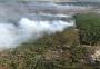 Combate a incêndio em área florestal de Mostardas mobiliza bombeiros há mais de 60 horas 