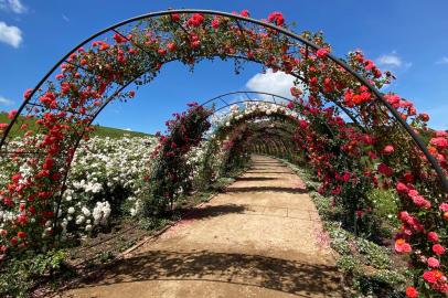 Mátria Parque de Flores, em São Francisco de Paula<!-- NICAID(14945197) -->