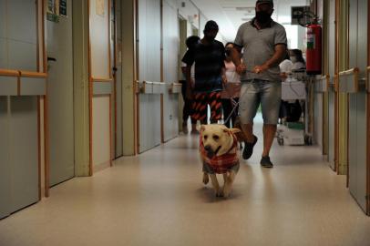 CAXIAS DO SUL, RS, BRASIL, 07/12/2021 - Dia do desejo, promovido pelo hospital da unimed.(Marcelo Casagrande/Agência RBS)<!-- NICAID(14961657) -->