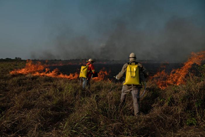 CARL DE SOUZA / AFP