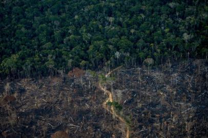 A Amazônia registrou, de acordo com dados do Imazon, a pior taxa de desmatamento em 10 anos, para o período de janeiro a novembro.<!-- NICAID(14973498) -->