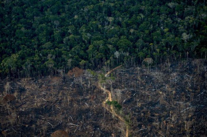 MAURO PIMENTEL / AFP