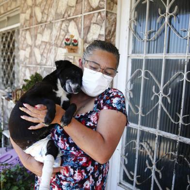 ALVORADA, RS, BRASIL - 20.12.2021 - Dificuldade dos animais com deficiência, acolhidos por protetores, para conseguirem novos lares. Na imagem, Adriana, protetora de Alvorada que tem três cães deficientes em sua casa: a Pretinha, que é cadeirante; o Rex, com dificuldades de locomoção e o Ratinho, com uma perna amputada. (Foto: Félix Zucco/Agencia RBS)<!-- NICAID(14972439) -->