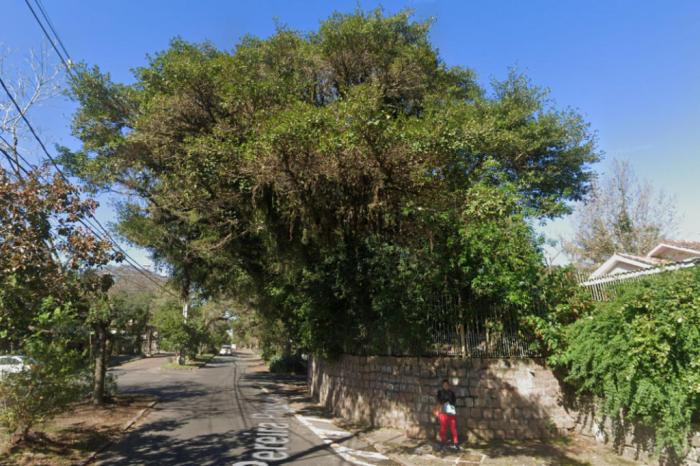 Google Maps / Reprodução