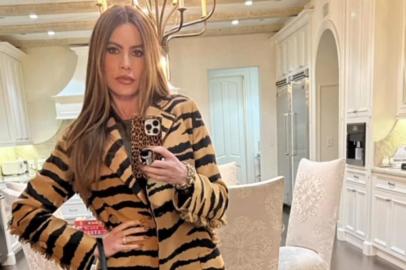 Sofia Vergara posta stories com música de Anitta<!-- NICAID(14979365) -->