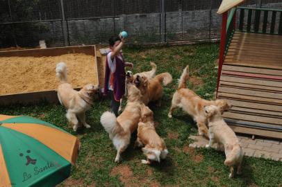 CAXIAS DO SUL, RS, BRASIL (06/01/2022)Clínica Veterinária La Santé. O espaço tem recreação para animais, com atividades, circuitos e áreas de lazer além de hospedagem, clinica veterinária, banho e tosa. (Antonio Valiente/Agência RBS)<!-- NICAID(14983947) -->