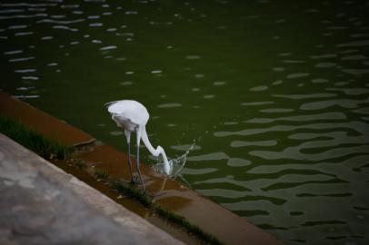 PORTO ALEGRE, RS, BRASIL - 10.01.2022 - Calor na Capital. (Foto: Anselmo Cunha/Agencia RBS)<!-- NICAID(14986533) -->