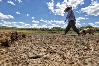 **FOTOS PARA REPORTAGEM ESPECIAL** SOLEDADE, RS, BRASIL - 2022.01.11 - Estiagem no Rio Grande do Sul. Lavouras de Soja e Milho não se desenvolvem em virtude da falta de chuva no interior de Soledade.. (Foto: Lauro Alves/Agencia RBS)<!-- NICAID(14987227) -->