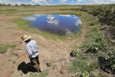 **FOTOS PARA REPORTAGEM ESPECIAL** SOLEDADE, RS, BRASIL - 2022.01.11 - Estiagem no Rio Grande do Sul. Lavouras de Soja e Milho não se desenvolvem em virtude da falta de chuva no interior de Soledade.. (Foto: Lauro Alves/Agencia RBS)<!-- NICAID(14987222) -->