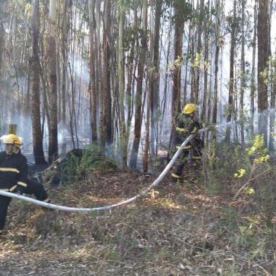 Bombeiros combatem um incêndio de grandes proporções em vegetação divisa do bairro Serrano com o loteamento Santo Antônio, em Caxias do Sul. Estimativa é que o fogo atinge de 10 hectares. São três caminhões e 12 bombeiros local.<!-- NICAID(14989269) -->