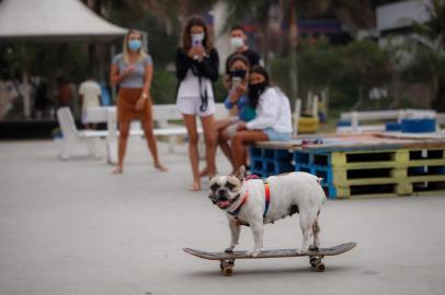 Capão da Canoa, RS, BRASIL,  25/01/2022-  Bulldog de 14kg aprende sozinha a andar de skate e vira atração em praça de Capão da Canoa. Foto: Anselmo Cunha/Agencia RBS<!-- NICAID(14997867) -->