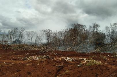 **A PEDIDO DE GUILHERME MILMAN**Incêndio em Ijuí - Fogo destruiu vegetação em uma área de 4 a 6 hectares <!-- NICAID(15000178) -->