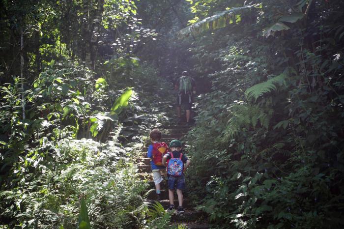 SciELO - Brasil - Crianças em trilhas na natureza: jogos de percurso e  reencantamento Crianças em trilhas na natureza: jogos de percurso e  reencantamento