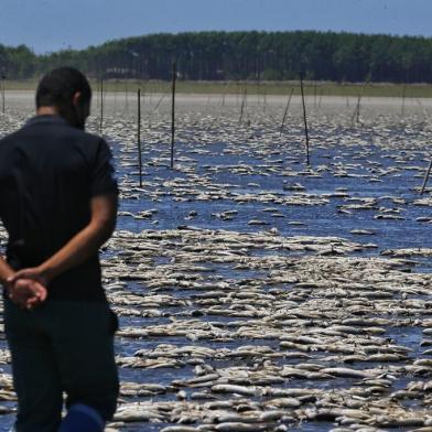 MOSTARDAS, RS - Seca castiga o Parque nacional da Lagoa do Peixe em Mostardas e Tavares.<!-- NICAID(15006455) -->