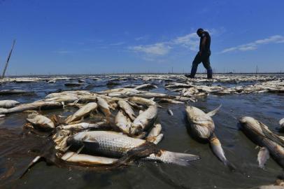 MOSTARDAS, RS - Seca castiga o Parque nacional da Lagoa do Peixe em Mostardas e Tavares.<!-- NICAID(15006461) -->