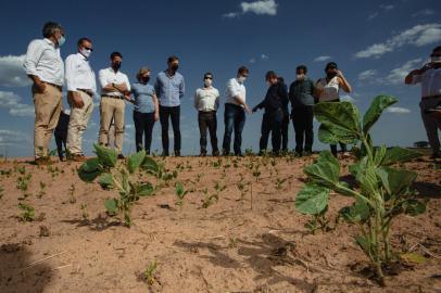 governador visita lavoura de soja em Tupanciretã<!-- NICAID(15012515) -->