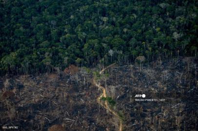 Aerial view show a deforested area of Amazonia rainforest in Labrea, Amazonas state, Brazil, on September 15, 2021. - The Amazon basin has, until recently, absorbed large amounts of humankinds ballooning carbon emissions, helping stave off the nightmare of unchecked climate change. But studies indicate the rainforest is hurtling toward a tipping point, at which it will dry up and turn to savannah, its 390 billion trees dying off en masse. Already, the destruction is quickening, especially since far-right President Jair Bolsonaro took office in 2019 in Brazil -- home to 60 percent of the Amazon -- with a push to open protected lands to agribusiness and mining. (Photo by MAURO PIMENTEL / AFP)Editoria: SCILocal: LábreaIndexador: MAURO PIMENTELSecao: weather scienceFonte: AFPFotógrafo: STF<!-- NICAID(15013726) -->