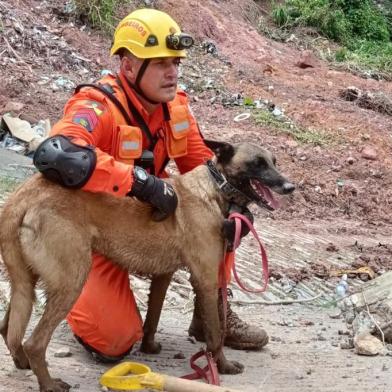 Participam da missão gaúcha em Petrópolis (RJ) o primeiro-sargento Alexandre Furtado Silveira, com a cadela Guria, e o soldado Éderson Luis Lima Gomes, com o cão General, ambos da CEBS, e o segundo-sargento Alex Sandro Teixeira Brum, com o cão Guapo, e soldado Estefânio Guinazu Bernardes, com a cadela Molly, os dois do 4º Batalhão de Bombeiro Militar (4º BBM) de Santa Maria.Na foto, Furtado e Guria.<!-- NICAID(15023141) -->