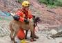 Em Petrópolis, bombeiros e cães do RS localizaram oito corpos de vítimas; trabalho continua