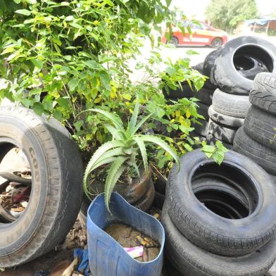 SANTA MARIA, RS, BRASIL, 06/01/2016 - Uma reunião hoje, às 9h, na prefeitura, vai definir o que a prefeitura pretende fazer para o enfrentamento da dengue e do zika vírus, com o controle da proliferação do Aedes aegypti. Percorremos alguns locais considerados problemáticos e mostrar que a gente também precisa fazer a nossa parte. (FOTO JEAN PIMENTEL / AGÊNCIA RBS)<!-- NICAID(11930101) -->