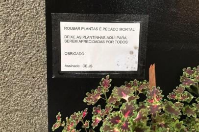 Um apelo curioso e bem-humorado na porta do restaurante Prato Verde, no bairro Bom Fim, chamou a atenção da vizinhança - e não deu outra: virou meme. No aviso pendurado sobre o canteiro de flores na entrada do estabelecimento, quem assina o recado é ninguém menos do que¿ ¿Deus¿.Luiz Roberto Flores, 63 anos, conta que a ideia foi do irmão e sócio no negócio, Tiago Flores. Depois de mais de 10 ataques ao canteiro, que sempre recebia novas plantas, Tiago, que é maestro da Orquestra da Ulbra, encontrou inspiração divina na igreja próxima ao estabelecimento. Confiante, colocou o aviso na parede no fim de janeiro. Desde então, as plantinhas permanecem intactas.¿ Eu não acho que o pedido é uma heresia. Se eu fosse Deus, assinaria embaixo na placa ¿ brinca Luiz.<!-- NICAID(15028892) -->