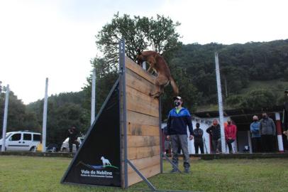 Mondioring é um esporte canino que cresce no Brasil movido pelos fãs das raças pastor-belga-malinois e pastor alemão. A etapa gaúcha do campeonato brasileiro desse ano ocorre em Farroupilha<!-- NICAID(15039230) -->