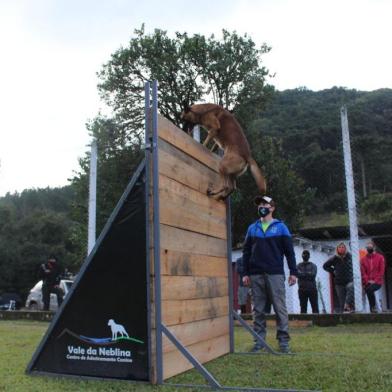 Mondioring é um esporte canino que cresce no Brasil movido pelos fãs das raças pastor-belga-malinois e pastor alemão. A etapa gaúcha do campeonato brasileiro desse ano ocorre em Farroupilha<!-- NICAID(15039230) -->