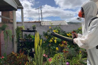 Casas da zona leste de Porto Alegre recebem pulverização contra o mosquito da dengue<!-- NICAID(15046809) -->