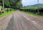 Com preço de matéria-prima instável, obra em estrada no interior de Caxias fica sem interessados pela segunda vez