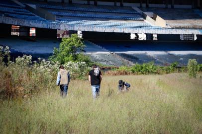 Porto Alegre, RS, 30/03/2022  Estádio Olímpico passa por inspeção contra mosquito da dengue.Indexador: Cristine RocholFotógrafo: repÃ³rter fotogrÃ¡fica<!-- NICAID(15057330) -->