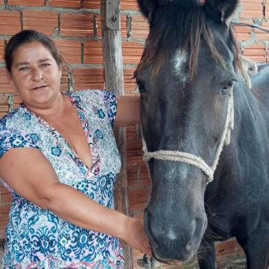 Égua ferida há dois anos no litoral precisa de ajuda para receber tratamento em Caxias. Uma campanha virtual busca recursos para o tratamento de uma égua que convive há dois anos com um ferimento no membro toráxico esquerdo. Preta vive em Cidreira e precisa ser transportada do litoral para Caxias do Sul. No município ela receberá tratamento gratuito na Clínica de Grandes Animais da Universidade de Caxias do Sul (UCS). Contudo, é preciso arrecadar o valor do frete que gira em torno de R$ 1,5 mil a 2 mil. A proprietária da égua, Janice Ienziorsky, 49 anos, está desempregada e não tem como arcar com os custos. Preta já passou por diversos atendimentos veterinários nesses dois anos, mas o ferimento continua, sem que tenha um diagnóstico definitivo. <!-- NICAID(15077122) -->