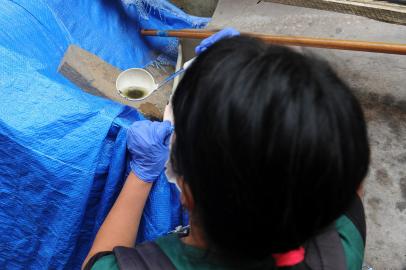 CAXIAS DO SUL, RS, BRASIL, 07/04/2022 - Município está com mais de 500 focos do mosquito da dengue. (Marcelo Casagrande/Agência RBS)<!-- NICAID(15062439) -->