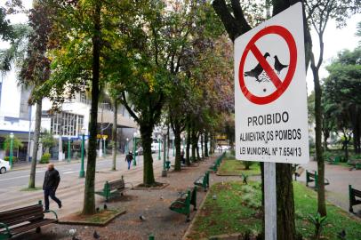 CAXIAS DO SUL, RS, BRASIL, 11/05/2022. Prefeitura de Caxias instala placas sinalizando que é proibido alimentar os pombos, na Praça Dante Alighieri, região central da cidade. (Bruno Todeschini/Agência RBS)<!-- NICAID(15092878) -->