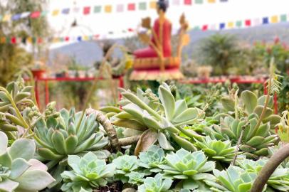 Jardim Espaço Tibet<!-- NICAID(15119773) -->