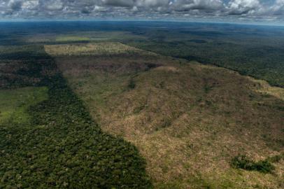 Aerial imagem of an overflight for monitoring deforestation in the Amazon, in LÃ¡brea, Amazonas state, on March 26th, 2022.Imagem aÃ©rea de sobrevoo de monitoramento de desmatamento na AmazÃ´nia no municÃ­pio de LÃ¡brea, Amazonas, realizado em 26 de marÃ§o de 2022.<!-- NICAID(15129038) -->