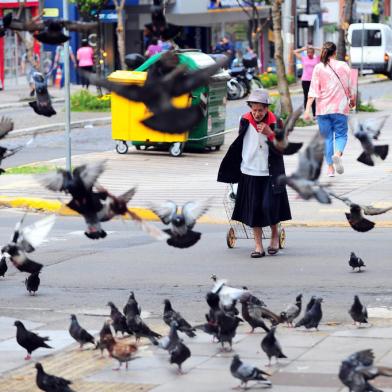 CAXIAS DO SUL, RS, BRASIL, 10/02/2022. Pombos localizados na área central de Caxias do Sul. Na foto, Dona Idiati Macan, eterna defensora dos pombos, alimentando alguns, na Praça Dante Alighieri. (Porthus Junior/Agência RBS)Indexador:                                 <!-- NICAID(15012437) -->