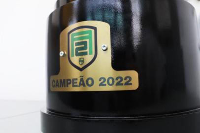 Federação Gaúcha de Futebol apresentou a novo troféu da Divisão de Acesso<!-- NICAID(15146249) -->