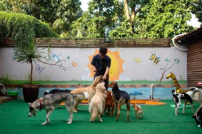 Porto Alegre, RS, Brasil, 22/07/2022 - A pauta é sobre as novidades no atendimento dos pets, com especialistas em vários tratamentos médicos e espaços específicos para o cuidado dos pets (como creches e spas) - Foto: Anselmo Cunha/Agência RBS<!-- NICAID(15155849) -->