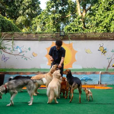 Porto Alegre, RS, Brasil, 22/07/2022 - A pauta é sobre as novidades no atendimento dos pets, com especialistas em vários tratamentos médicos e espaços específicos para o cuidado dos pets (como creches e spas) - Foto: Anselmo Cunha/Agência RBS<!-- NICAID(15155849) -->