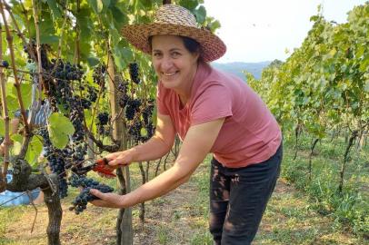 Rosângela Bettu Lazzari, 48 anos, é a mais velha de quatro irmãs que administram a Osteria della Colombina, no roteiro Estrada do Sabor de Garibaldi. Ela é a responsável pelos vinhedos da família. <!-- NICAID(15165708) -->