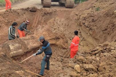 Uma obra de asfaltamento em uma rodovia resultou na descoberta de um tronco fossilizado com idade que ultrapassa os 200 milhões de anos. O fato ocorreu no distrito de Vale Vêneto, em São João do Polêsine, na região central do Rio Grande do Sul.No mês passado, trabalhadores faziam atividades de asfaltamento da VRS-823. Como de praxe, uma equipe ambiental foi acionada para indicar pontos ambientalmente sensíveis antes do início das obras. Durante a avaliação, os profissionais notaram que fósseis de troncos afloravam no eixo da rodovia. Assim teve início o trabalho para retirar a peça do local.<!-- NICAID(15174629) -->