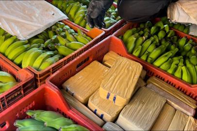 Polícia Civil apreende 20 quilos de pasta base de cocaína em carga de banana, em Passo Fundo<!-- NICAID(15174723) -->