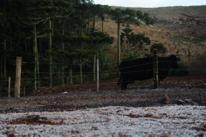 SÃO JOSÉ DOS AUSENTES, RS, BRASIL, 19/08/2022. São José dos Ausentes, nos Campos de Cima da Serra, recebe turistas com a previsão de frio. A sexta-feira (19) amanheceu com temperaturas negativas e formação de geada. (Bruno Todeschini/Agência RBS)<!-- NICAID(15180250) -->