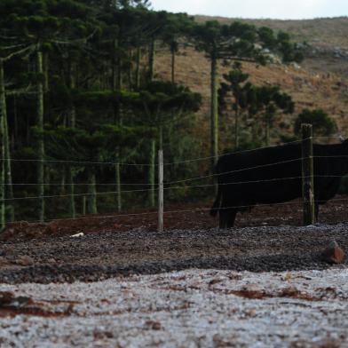 SÃO JOSÉ DOS AUSENTES, RS, BRASIL, 19/08/2022. São José dos Ausentes, nos Campos de Cima da Serra, recebe turistas com a previsão de frio. A sexta-feira (19) amanheceu com temperaturas negativas e formação de geada. (Bruno Todeschini/Agência RBS)<!-- NICAID(15180250) -->