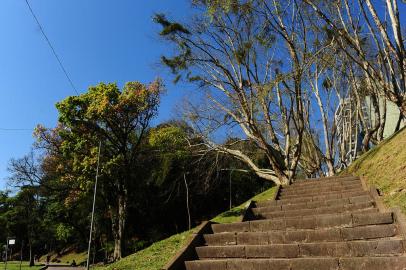 CAXIAS DO SUL, RS, BRASIL, 24/08/2022. Árvores no Parque dos Macaquinhos, em Caxias do Sul. (Bruno Todeschini/Agência RBS)<!-- NICAID(15185342) -->