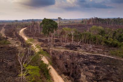 Drone aerial view of deforestation in the amazon rainforest.Local: Novo ProgressoFonte: 385374743<!-- NICAID(15185452) -->