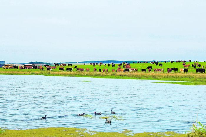 Fazenda Pulquéria / Divulgação