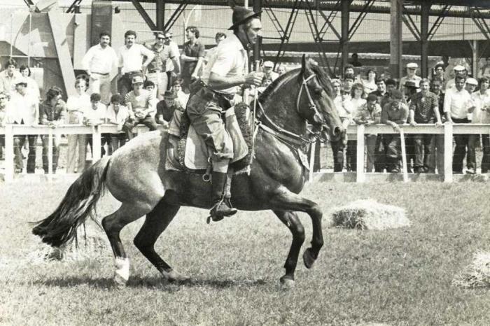 ABCCC / Divulgação